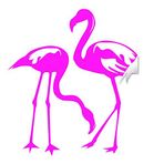 Flamingo Çıkartma Pembe Çıkartma - Tropik Sanat Sevimli Duvar Dekoru Vinil Çıkartmalar - Hayvan Komik Kuş Ev Dekoru Kalıp Kesim Çocuk Odası Silüeti Flamingolar