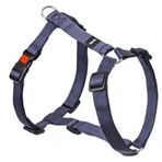 Flamingo Mavi 35-50 cm Köpek Göğüs Tasması