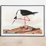 Flamingo Sanatsal Duvar Dekorasyon Poster 60x90cm.