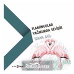 Flamingolar Yağmurda Sevişir - İrfan Asil
