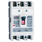 Flash 3x125-160 Ayarlı Termik Manyetik Kompakt Şalter
