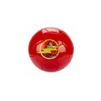 Flash Futbol Topu No. 5