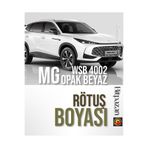 Flea Market MG Rötuş Boyası WSB 4002 Beyaz 20ml Çizik ve Taş İzi Onarıcı, WSBİBTff