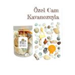 Flea Market Özenle Seçilmiş Karışık Cam Kutuda Orta Boy Deniz Kabukları - (100Gr.)