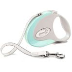 Flexi Style 3 m Mint Yeşili Small Otomatik Şerit Köpek Gezdirme Kayışı
