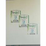 Flexilife Plus Ekstra Büyük Boy Xlarge 90 Adet Emici Külot