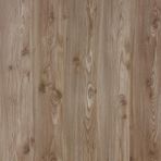 Floorpan Gold Çam Laminat Parke