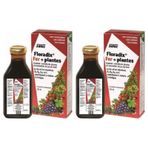 Floradix 2x250 ml Sıvı