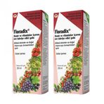 Floradix Surup 250 Ml 2 Adet
