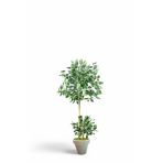 florayapaycicekcom 140 cm ficus yapay ağaç bambu 2 gövdeli beyaz plastik saksı