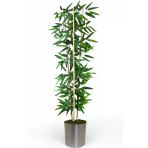 florayapaycicekcom Dekoratif Yapay Yapraklı 3 Gövde Bambu Ağacı 190 cm Bambu metal saksı