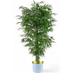 Florayapaycicekcom Tek Gövdeli Bambu Ağaç Yapay Islak Doku Beyaz Gold Saksı