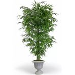 Florayapaycicekcom Tek Gövdeli Bambu Ağaç Yapay Islak Doku Nergiz Saksı