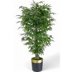 Florayapaycicekcom Tek Gövdeli Bambu Ağaç Yapay Islak Doku Siyah Gold Saksı
