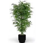 Florayapaycicekcom Tek Gövdeli Bambu Ağaç Yapay Islak Doku Vega Saksı
