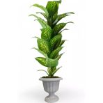Florayapaycicekcom Yapay Ağaç Difenbahya 170 Cm Nergiz Plastık Saksı