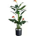 Florayapaycicekcom Yapay Ağaç Gala Ağacı Salon Bitkisi 160Cm 20 Yaprak Siyah Gümüş Saksıda