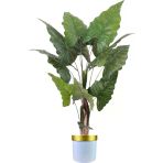 Florayapaycicekcom Yapay Fil Kulagı 180 Cm Beyaz Gold Saksı