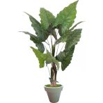 Florayapaycicekcom Yapay Fil Kulagı 180 Cm Beyaz Plastık Saksı