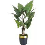 Florayapaycicekcom Yapay Fil Kulagı 180 Cm Siyah Gold Saksı