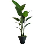 Florayapaycicekcom Yapay Starliçe Muz 180 Cm Siyah Plastık Saksı