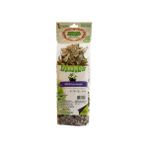 Florest Böğürtlen Yaprağı 25GR
