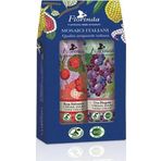 Florinda 2x30 ml Mozaik Yaban Gülü ve Çilek Üzüm El Kremi