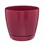 Floris 14 cm Bordo Tabaklı Saksı
