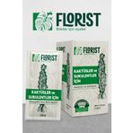 FLORİST KAKTÜS VE SUKULENT BİTKİ BESİNİ
