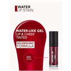 Flormar 146202 Water 003 Lıp Staın