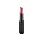 Flormar Color Master 004 Tropic Breeze Ruj