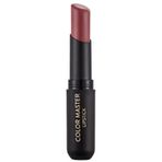 Flormar Color Master No:011 Plums Ruj