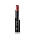 Flormar Creamy Stylo Lipstick Ruj - 06 Chestnut