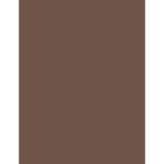 Flormar Light Brown 002 Tinted Brow Gel Kaş Jeli