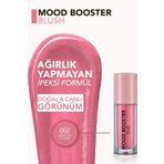 Flormar Mood Booster Likit Allık 002 Immortal Flower