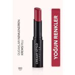 Flormar Yarı Parlak Stick Ruj- Creamy Stylo Lipstick -003 Rosy -