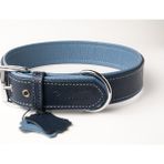 Flotter Hakiki Deri Köpek Boyun Tasması Xl Lacivert Mavi 4X54-64 cm