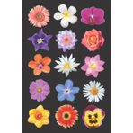 Flower Power Journal