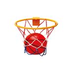 Flower Toys Oyuncak Çember Pota Kapıya Ve Duvara Monte 24cm Basketbol Seti