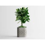 Flowform Dekoratif Saksı - Gri Modern Modern Bitki Saksısı 8 cm - 80x80x80mm