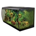 Fluval Flex 123 lt Siyah Akvaryum