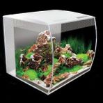 Fluval Flex 34 lt Beyaz Akvaryum