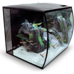 Fluval Flex Siyah 57 lt 41x39x39 cm Akvaryum