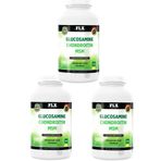 Flx Glucosamine Chondroitin MSM Hyaluronic Acid Zerdeçal 3x300 Tablet