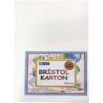 Fly Color 210 gr Bristol Karton 25 x 35 cm 10'lu Beyaz Renkli Sanatsal Malzeme Seti
