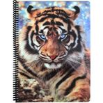 Fly Color A4 P.p Kapak 96 Yaprak Kareli Kaplan Desenli Spiralli Defter