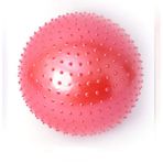 FLY FLQ Egzersiz Topu, Ekstra Kalın Patlama Önleyici Spor Topu, Ayak Pompalı İsviçre Topu, Yoga, Pilates, Fitness, Hamilelik Çalışması için Doğum Topu, Kırmızı-55 cm