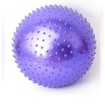 FLY FLQ Egzersiz Topu, Ekstra Kalın Patlama Önleyici Spor Topu, Ayak Pompalı İsviçre Topu, Yoga, Pilates, Fitness, Hamilelik Çalışması için Doğum Topu, Mor-55 cm