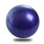 FLY FLQ Jimnastik Topu 65 cm, Hava Pompalı Egzersiz Patlamaz Yoga Topu Gym Pilates Denge Fitness - Fizyoterapili Ekstra Kalın Pilates Topu, Mor
