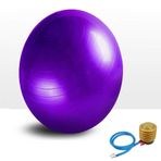 FLY FLU Yetişkinler için jimnastik topu, yoga topu, hamilelik topu, pilates, fitness, stabilite için jimnastik topu, yoga, patlamaz, profesyonel kalite, İsviçre topu, mor, 85 cm